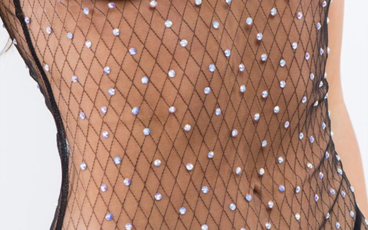 Razzle Dazzle Sheer dress