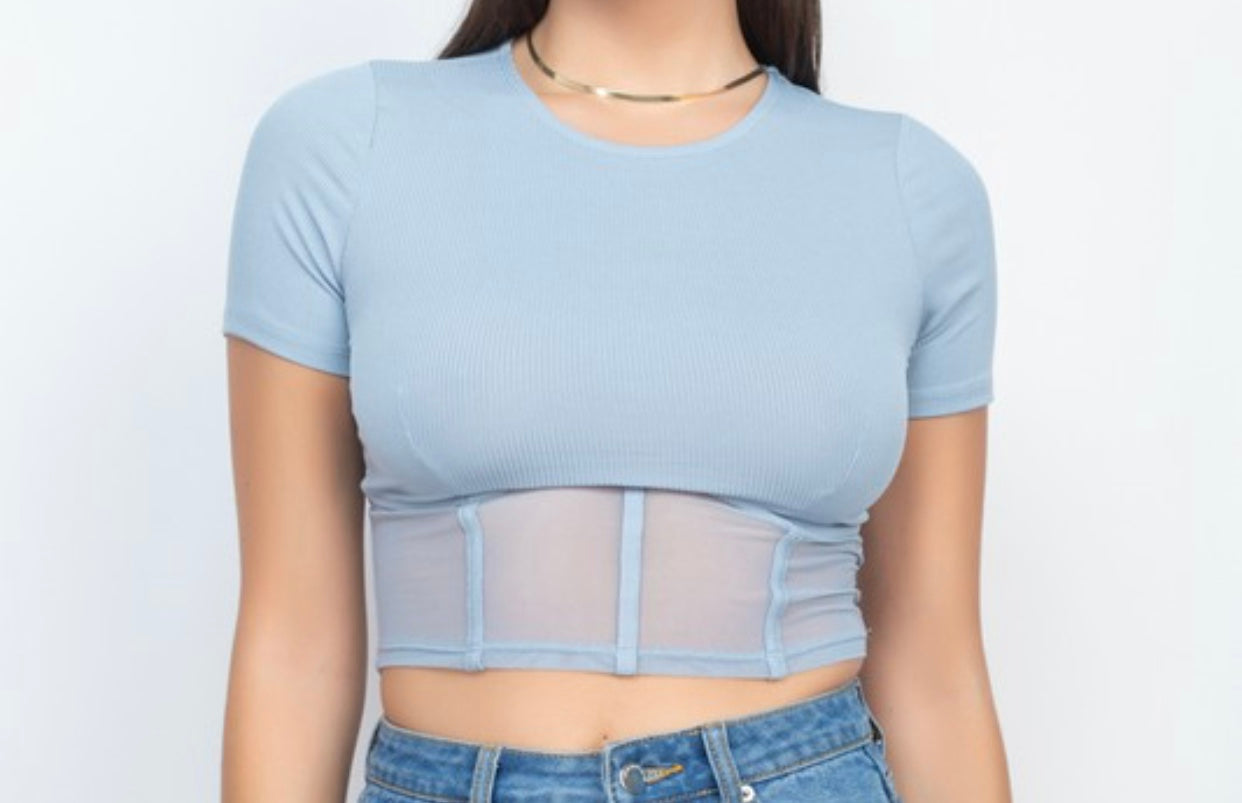 Meshed Up Crop Top