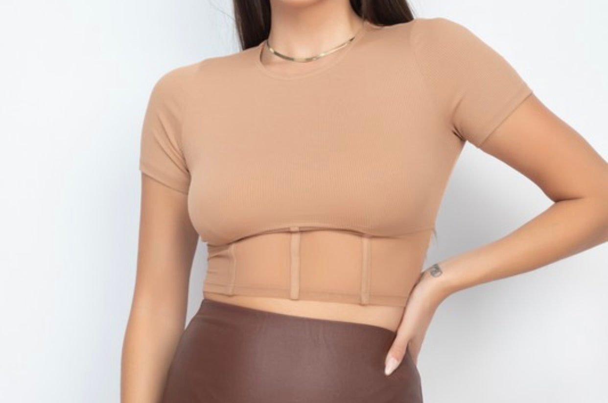 Meshed Up Crop Top